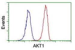 AKT1 Mouse anti-Canine, Human, Mouse, Rat, Clone: OTI4D6, lyophilized,