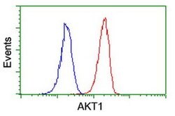 AKT1 Monoclonal Antibody (OTI3E3), TrueMAB , OriGene 100 &mu;L; Unconjugated:Antibodies,