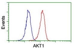 AKT1 Mouse anti-Canine, Human, Mouse, Rat, Clone: OTI4G4, lyophilized,