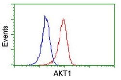AKT1 Monoclonal Antibody (OTI3B4), TrueMAB , OriGene 100 &mu;L; Unconjugated:Antibodies,