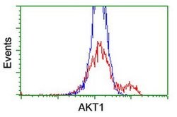 AKT1 Mouse anti-Canine, Human, Mouse, Rat, Clone: OTI4C11, liquid, TrueMAB