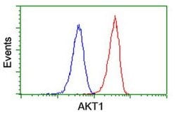 AKT1 Mouse anti-Canine, Human, Mouse, Rat, Clone: OTI4C11, liquid, TrueMAB