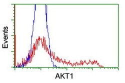 AKT1 Mouse anti-Canine, Human, Mouse, Rat, Clone: OTI1G5, lyophilized, TrueMAB 100 &mu;g | Buy Online | OriGene | Fisher Scientific