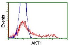 AKT1 Monoclonal Antibody (OTI1G5), TrueMAB , OriGene 100 &mu;L; Unconjugated:Antibodies,