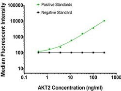 AKT2 Mouse anti-Human, Clone: OTI8D9, liquid, TrueMAB 100 &mu;g; Unconjugated:Antibodies,