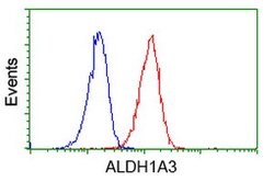 ALDH1A3 Mouse anti-Canine, Human, Clone: OTI4B6, lyophilized, TrueMAB 100