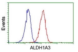 ALDH1A3 Mouse anti-Canine, Human, Clone: OTI4B6, liquid, TrueMAB 100 &mu;L;