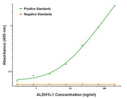 ALDH1L1 Mouse anti-Human, Clone: OTI5G8, liquid, TrueMAB 100 &mu;g; Unconjugated:Antibodies,