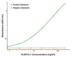 ALDH1L1 Mouse anti-Human, Clone: OTI5G8, liquid, TrueMAB 100 &mu;g; Unconjugated:Antibodies,