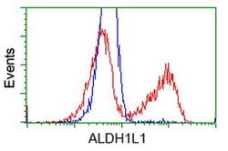 ALDH1L1 Mouse anti-Human, Clone: OTI7G6, lyophilized, TrueMAB 100 &mu;g | Buy Online | Origene Technologies | Fisher Scientific