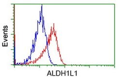 ALDH1L1 Mouse anti-Human, Clone: OTI7G6, lyophilized, TrueMAB 100 &mu;g | Buy Online | Origene Technologies | Fisher Scientific