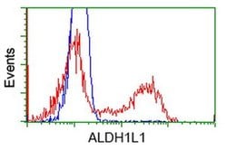 ALDH1L1 Monoclonal Antibody (OTI7G8), TrueMAB , OriGene:Antibodies:Primary