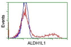 ALDH1L1 Monoclonal Antibody (OTI6A10), TrueMAB , OriGene 30 &mu;L; Unconjugated:Antibodies,