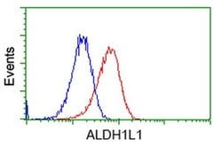 ALDH1L1 Monoclonal Antibody (OTI6A10), TrueMAB , OriGene 30 &mu;L; Unconjugated:Antibodies,