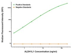 ALDH1L1 Mouse anti-Human, Clone: OTI1H6, liquid, TrueMAB 100 &mu;g; Unconjugated:Antibodies,