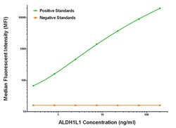 ALDH1L1 Mouse anti-Human, Clone: OTI5G8, liquid, TrueMAB 100 &mu;g; Unconjugated:Antibodies,