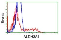 ALDH3A1 Mouse anti-Human, Clone: OTI1C6, TrueMAB , Origene 30 &mu;L; Unconjugated:Antibodies,