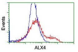 ALX4 Mouse anti-Human, Clone: OTI2F2, lyophilized, TrueMAB 100 &mu;g | Buy Online | Origene Technologies | Fisher Scientific