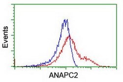 ANAPC2 Monoclonal Antibody (OTI2A1), TrueMAB , OriGene 30 &mu;L; Unconjugated:Antibodies,