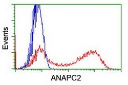 ANAPC2 Mouse anti-Human, Mouse, Rat, Clone: OTI1H8, lyophilized, TrueMAB
