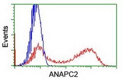 ANAPC2 Monoclonal Antibody (OTI1H8), TrueMAB , OriGene 30 &mu;L; Unconjugated:Antibodies,