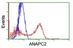 ANAPC2 Monoclonal Antibody (OTI1A6), TrueMAB , OriGene:Antibodies:Primary