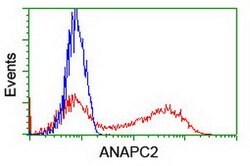ANAPC2 Mouse anti-Human, Clone: OTI3E1, lyophilized, TrueMAB 100 &mu;g;