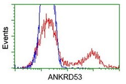 ANKRD53 Monoclonal Antibody (OTI1A7), TrueMAB , OriGene 30 &mu;L; Unconjugated:Antibodies,