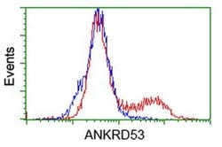 ANKRD53 Monoclonal Antibody (OTI2E4), TrueMAB , OriGene 100 &mu;L; Unconjugated:Antibodies,