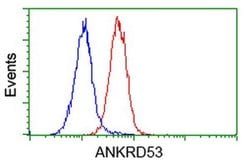 ANKRD53 Monoclonal Antibody (OTI2E4), TrueMAB , OriGene 100 &mu;L; Unconjugated:Antibodies,