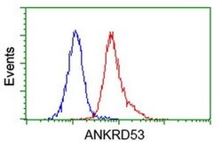 ANKRD53 Monoclonal Antibody (OTI2E4), TrueMAB , OriGene 100 &mu;L; Unconjugated:Antibodies,