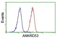ANKRD53 Monoclonal Antibody (OTI1B8), TrueMAB , OriGene 30 &mu;L; Unconjugated:Antibodies,