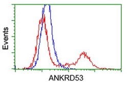 ANKRD53 Monoclonal Antibody (OTI2F3), TrueMAB , OriGene 30 &mu;L; Unconjugated:Antibodies,