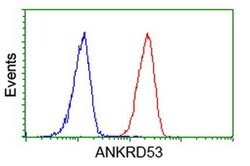 ANKRD53 Monoclonal Antibody (OTI2F3), TrueMAB , OriGene 30 &mu;L; Unconjugated:Antibodies,