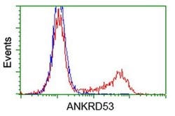 ANKRD53 Monoclonal Antibody (OTI1E1), TrueMAB , OriGene 100 &mu;L; Unconjugated:Antibodies,