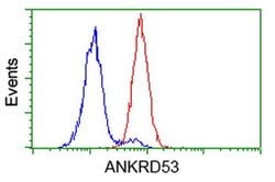ANKRD53 Monoclonal Antibody (OTI1E1), TrueMAB , OriGene 100 &mu;L; Unconjugated:Antibodies,