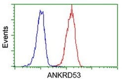 ANKRD53 Monoclonal Antibody (OTI1E1), TrueMAB , OriGene 100 &mu;L; Unconjugated:Antibodies,