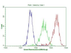 ANP32C Monoclonal Antibody (OTI10A10), TrueMAB , OriGene 100 &mu;L; Unconjugated:Antibodies,