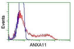 ANXA11 Mouse anti-Human, Clone: OTI1C6, lyophilized, TrueMAB 100 &mu;g;