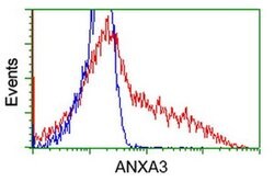 ANXA3 Monoclonal Antibody (OTI1A9), TrueMAB , OriGene 30 &mu;L; Unconjugated:Antibodies,