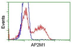 AP2M1 Mouse anti-Human, Mouse, Clone: OTI2G2, lyophilized, TrueMAB 100 &mu;g | Buy Online | OriGene | Fisher Scientific