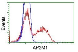 AP2M1 Monoclonal Antibody (OTI2G2), TrueMAB , OriGene 100 &mu;L; Unconjugated:Antibodies,