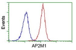 AP2M1 Mouse anti-Human, Mouse, Clone: OTI2G2, lyophilized, TrueMAB 100 &mu;g | Buy Online | OriGene | Fisher Scientific