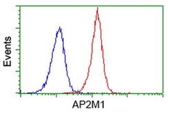 AP2M1 Monoclonal Antibody (OTI2G2), TrueMAB , OriGene 100 &mu;L; Unconjugated:Antibodies,