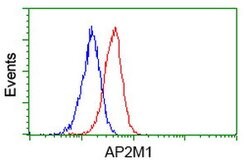 AP2M1 Mouse anti-Canine, Human, Rat, Clone: OTI 2F11, lyophilized, TrueMAB