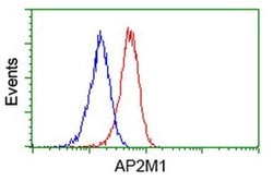 AP2M1 Monoclonal Antibody (OTI2D10), TrueMAB , OriGene 30 &mu;L; Unconjugated:Antibodies,
