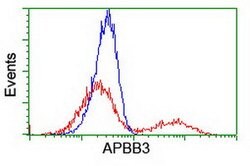 APBB3 Mouse anti-Human, Clone: OTI5G3, lyophilized, TrueMAB 100 &mu;g;