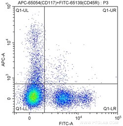 CD117 Rat anti-Mouse, APC, Clone: 2B8, Proteintech 100 &mu;g:Antikörper