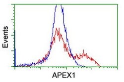 APEX1 Mouse anti-Human, Clone: OTI2A4, liquid, TrueMAB 100 &mu;L; Unconjugated:Antibodies,