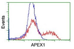 APEX1 Mouse anti-Human, Clone: OTI6E10, lyophilized, TrueMAB 100 &mu;g;